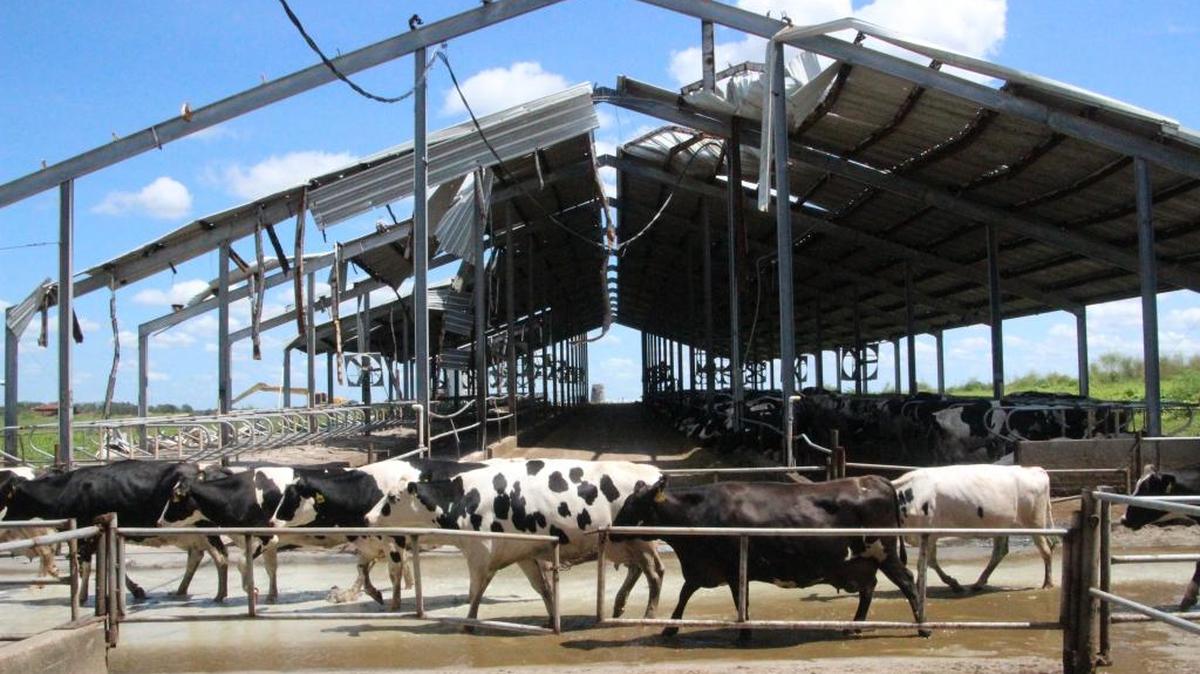 A federal program has been announced to help agricultural producers who suffered damage from Hurricane Irma. Dakin Dairy in Myakka City is shown above after Irma damaged several of its buildings in September.