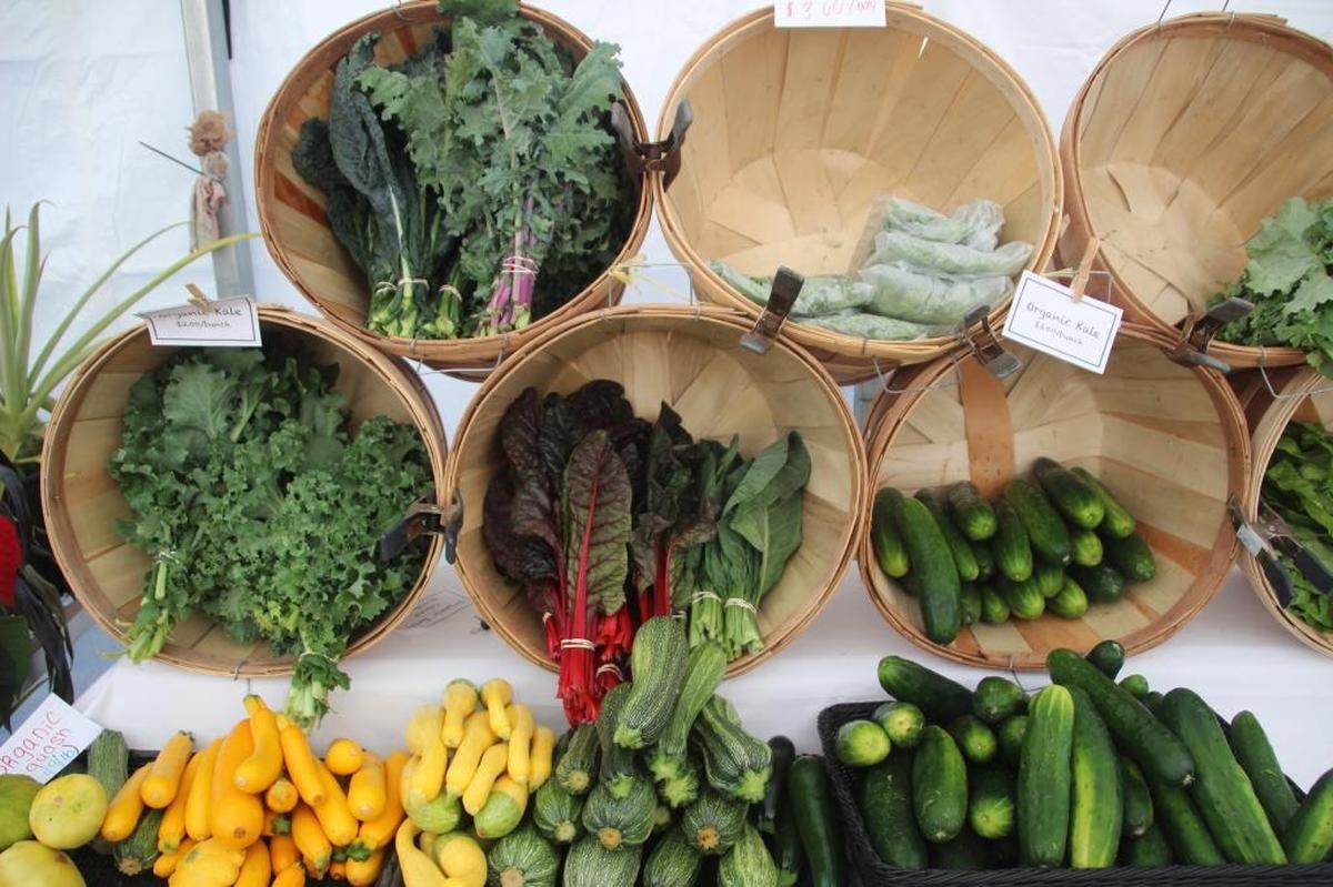 Colorful, fresh, organic produce is now sold four days a week at Geraldson Farm Market in Parrish.