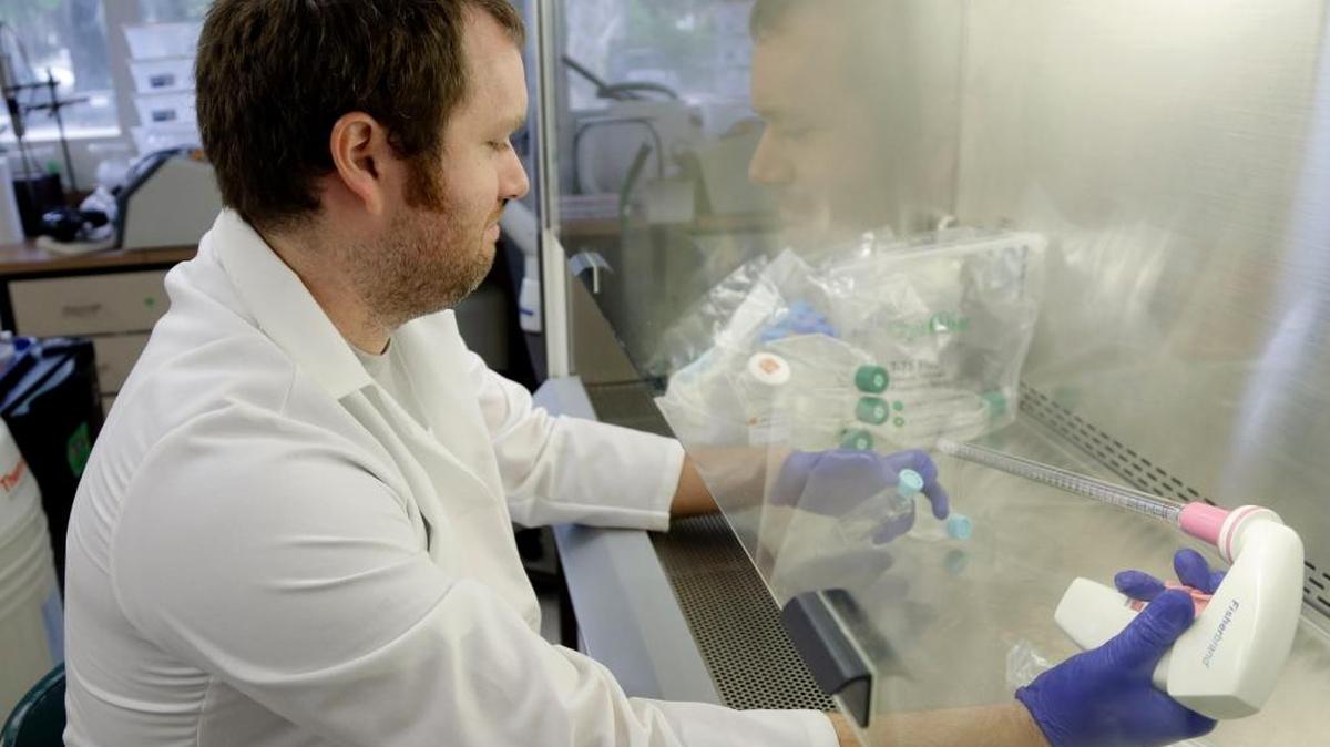 Scientist Calum Russell loads bacteria from different insects into a vial which will put into an Asian Citrus Psyllid to see if certain strains of bacteria will protect the psyllid.