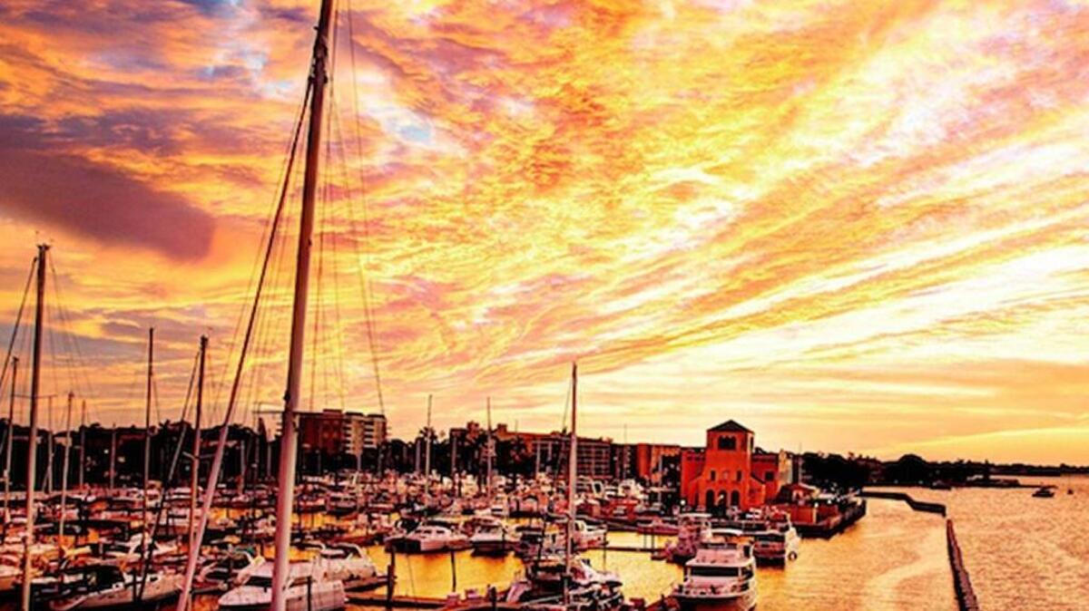 From 5 to 7 p.m. Wednesdays though September, guests who share a Manatee River sunset photo using the hashtag #Pier22Sunsets, will receive a free Manatee Sunset drink.