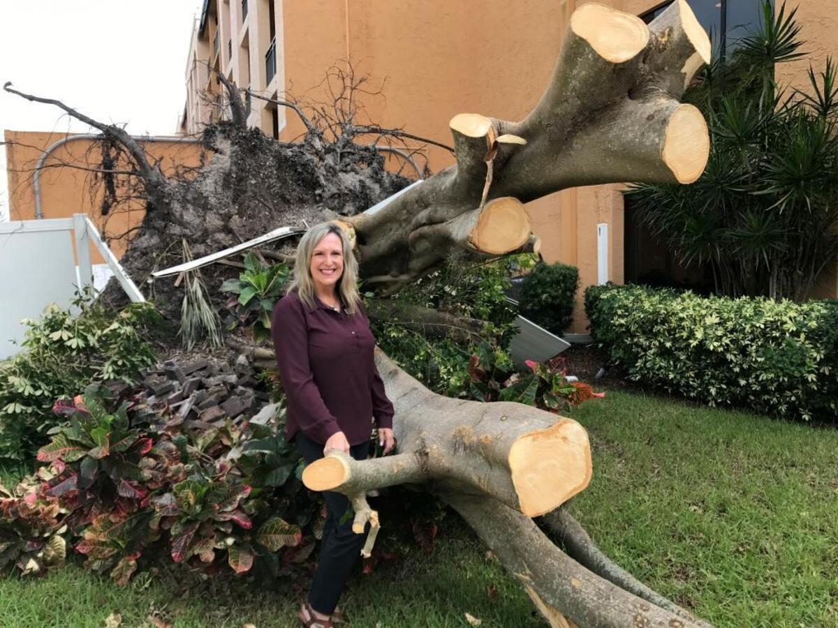 Robyn Price, regional director of sales and marketing for Courtyard by Marriott, stands next to a huge tree that fell next to the hotel lobby Sunday night.