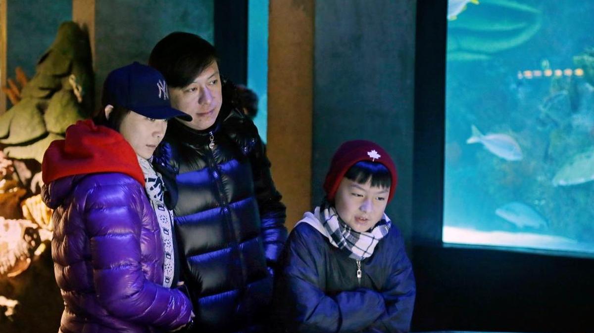 Tourists from China watch penguins at the New England Aquarium in Boston. In cities across the country, the American hospitality industry is stepping up efforts to make Chinese visitors feel more welcome.