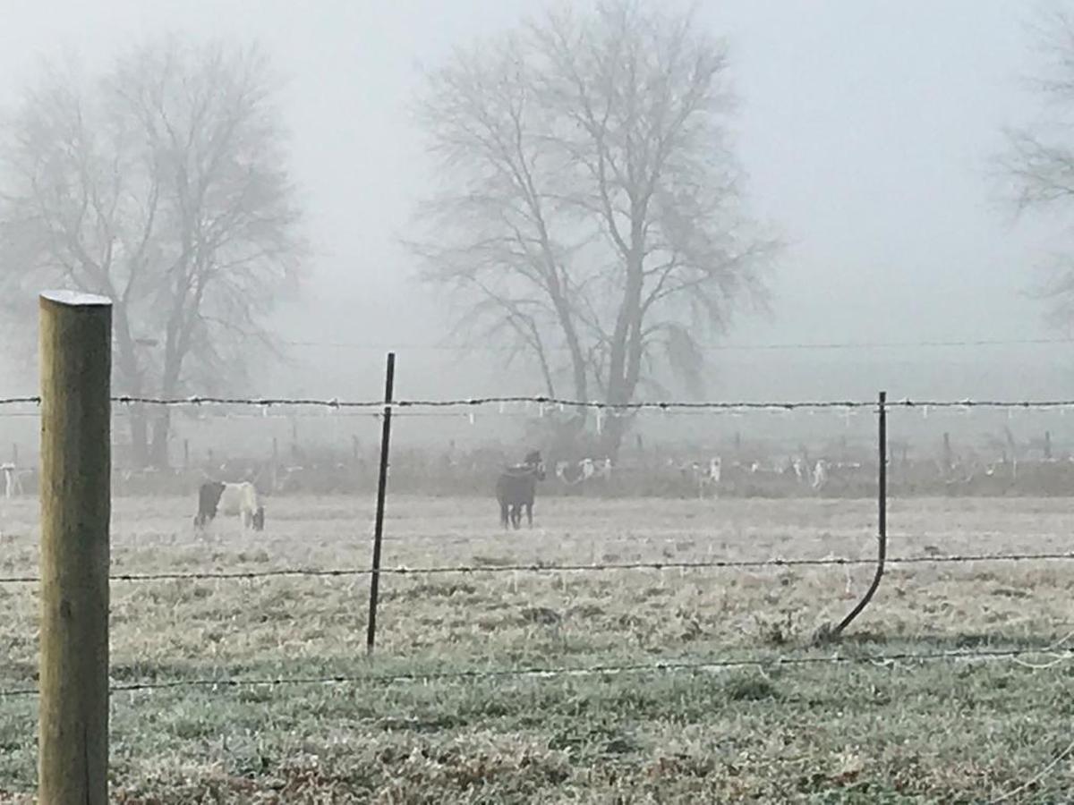 Early morning frost and fog cover one of the family farms that surround Jackson, Ohio.