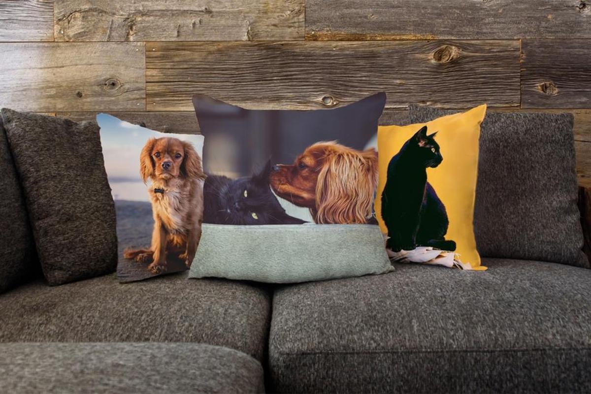 CanvasPop has a new custom photo pillow line.