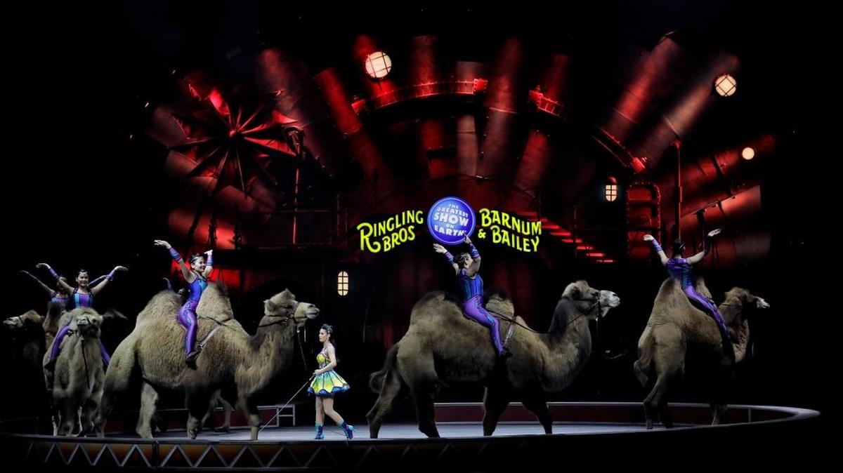 The Ringling Bros. and Barnum & Bailey Circus will end the “The Greatest Show on Earth” in May, following a 146-year run of performances.