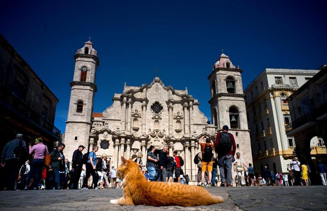Tourists visit the cathedral square as a cat basks under the sun in Havana. While the U.S. prohibits tourism to Cuba, Americans can travel here for specially designated purposes like religious activity or the vaguely defined category of people-to-people cultural interaction.