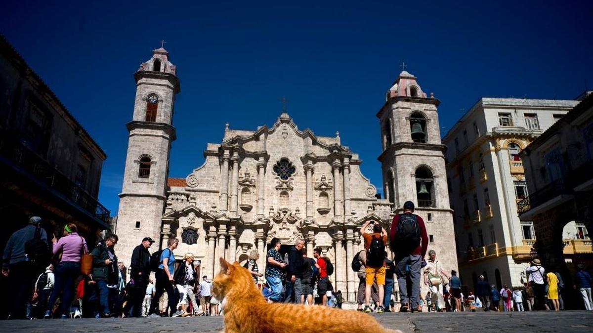 Tourists visit the cathedral square as a cat basks under the sun in Havana. While the U.S. prohibits tourism to Cuba, Americans can travel here for specially designated purposes like religious activity or  a category called support for the Cuban people.