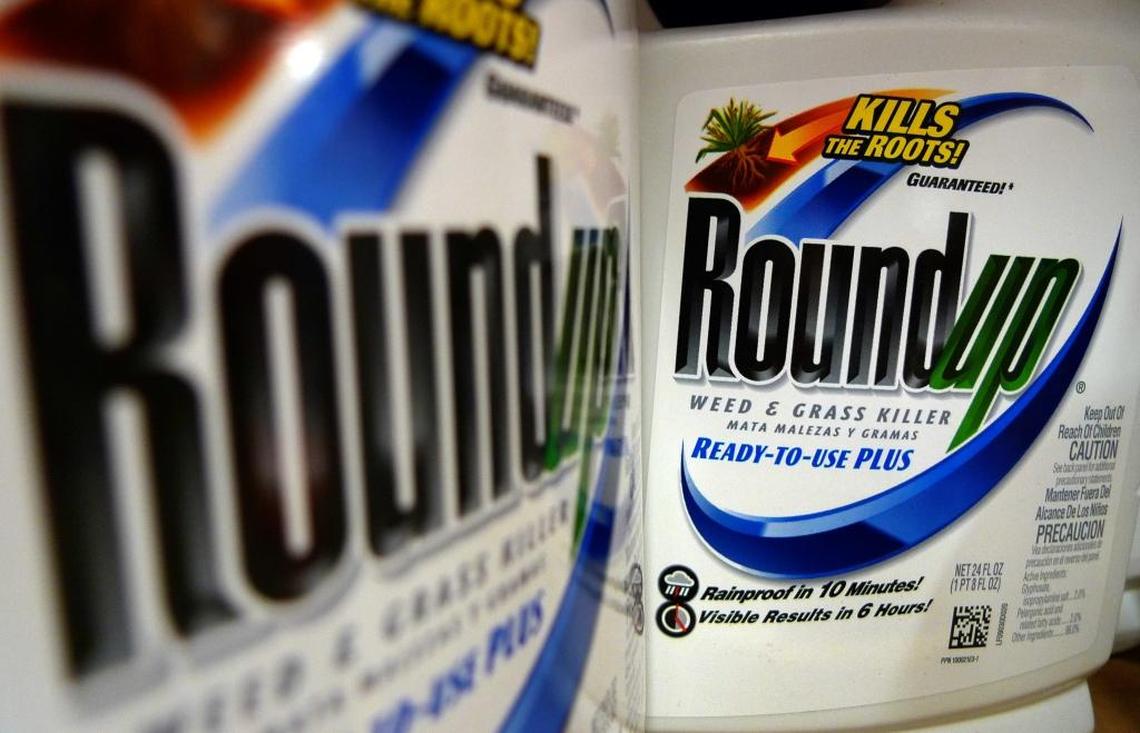 Roundup herbicide, a product of Monsanto, has been blamed for causing cancer in users in thousands of lawsuits against Monsanto’s owner Bayer, which says the product is safe.
