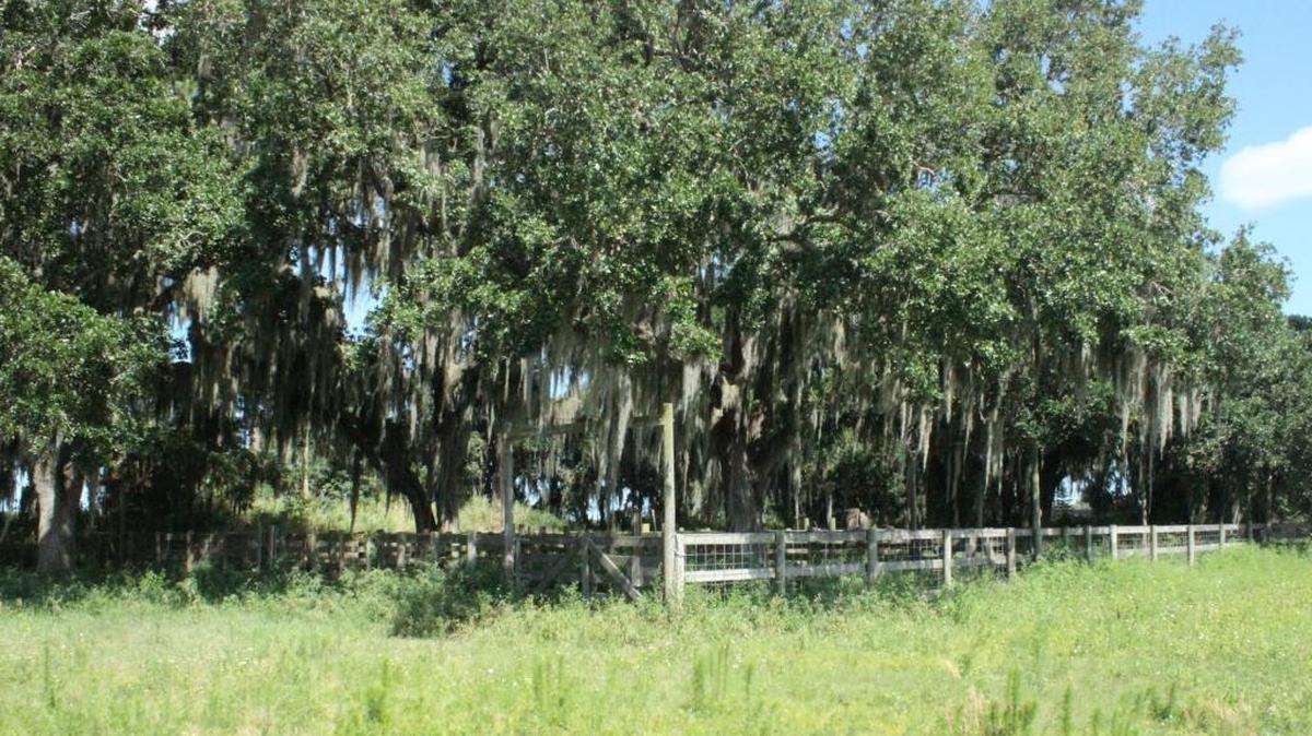 The Parrish Lakes property has traditionally been used for agriculture. It is proposed for 3,300 residential units, 400,000 square feet of retail and 50,000 square feet of office space.