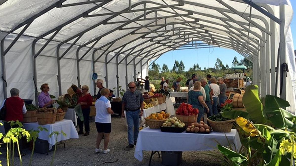 Gamble Creek Farm has opened its gates to the public and is selling produce and other locally sourced and sustainable items from 10 a.m.-4 p.m. Wednesday through Saturday.
