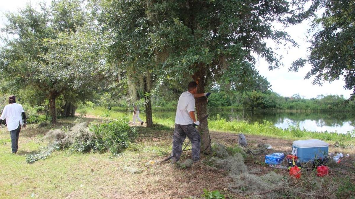 Crews have been cutting back the overgrowth at the stalled Cross Creek development in Parrish.