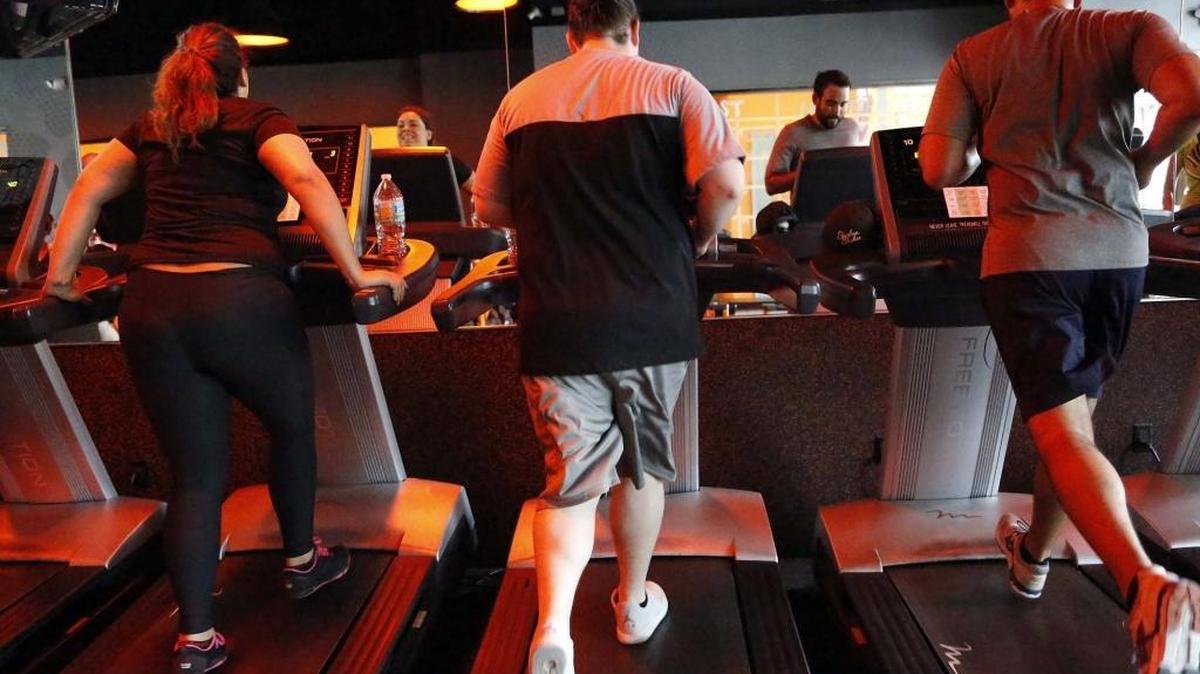 People run on treadmills in Miami. In recent years, the wellness trend has taken off at sea on cruise ships. New cruise line Blue World Voyages plans to cater specifically to active travelers.