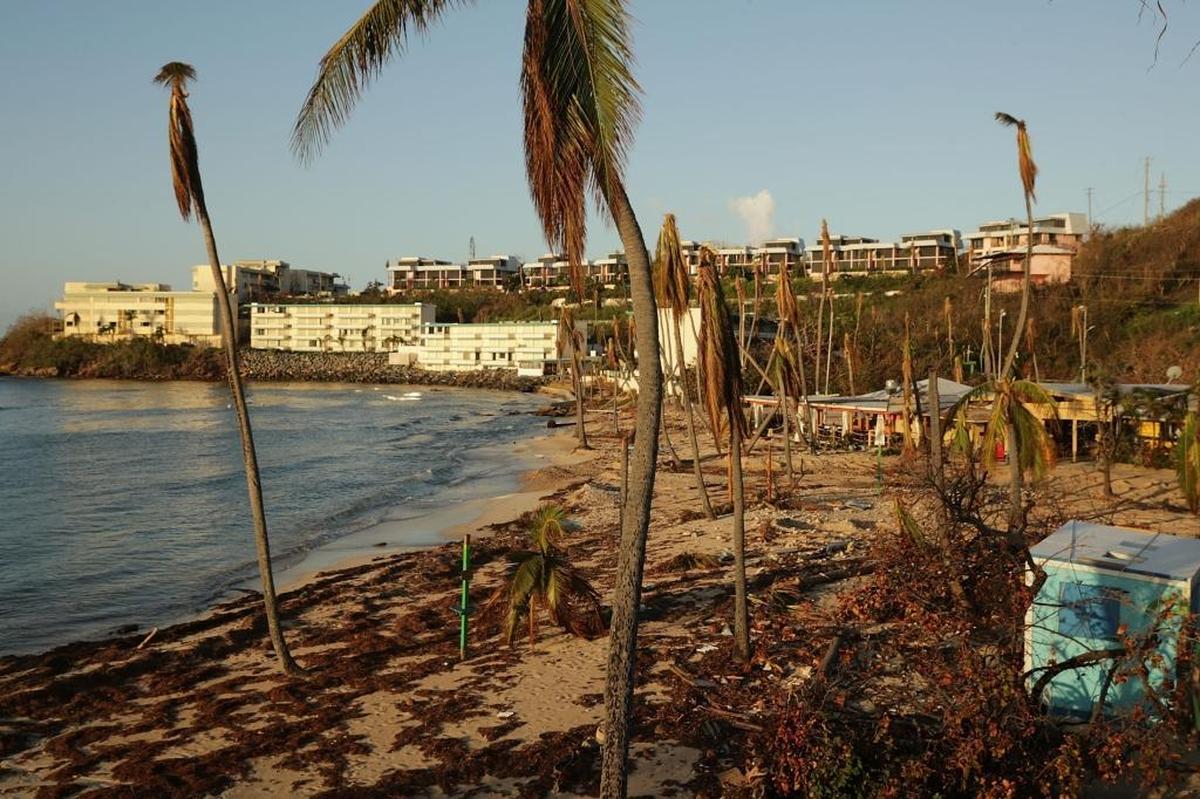Rafts of seaweed and broken trees on the beach at the Bolongo Bay Beach Resort more than a week after Hurricane Irma made landfall, on Sept.18, 2017 in Charlotte Amalie, St Thomas, U.S. Virgin Islands.