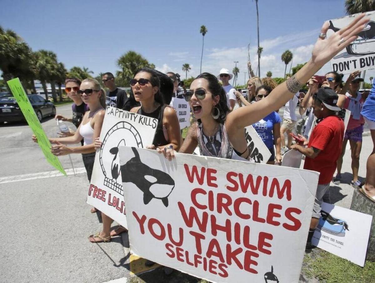 Barbara Fulchini, foreground, 24, of Miami, and Adriana Pruitt, center, 32, of Miramar, attempt to turn back people at the entrance to the Miami Seaquarium during a protest against Lolita's decades-long captivity on Sunday, Aug. 8, 2015.