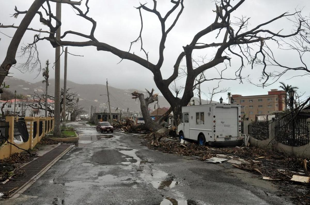 Trees stand barren and debris lays on the roadside, caused by Hurricane Maria in Road Town, on the island of Tortola, in the British Virgin Islands, early Wednesday, Sept. 20, 2017.