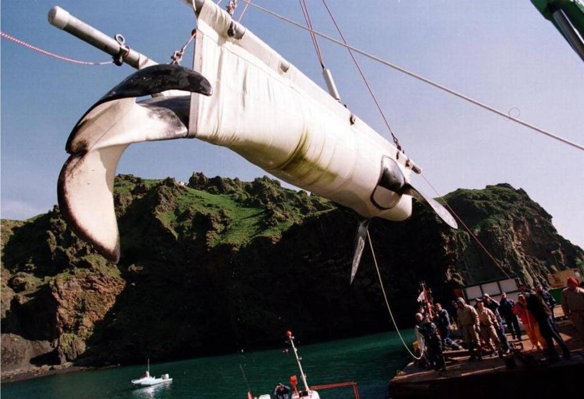 Keiko, the killer whale, is carried by cradle into a pen at Heimaey, Iceland, on Thursday, Sept. 10, 1998. Keiko died from pneumonia about a year after his full release into the wild.