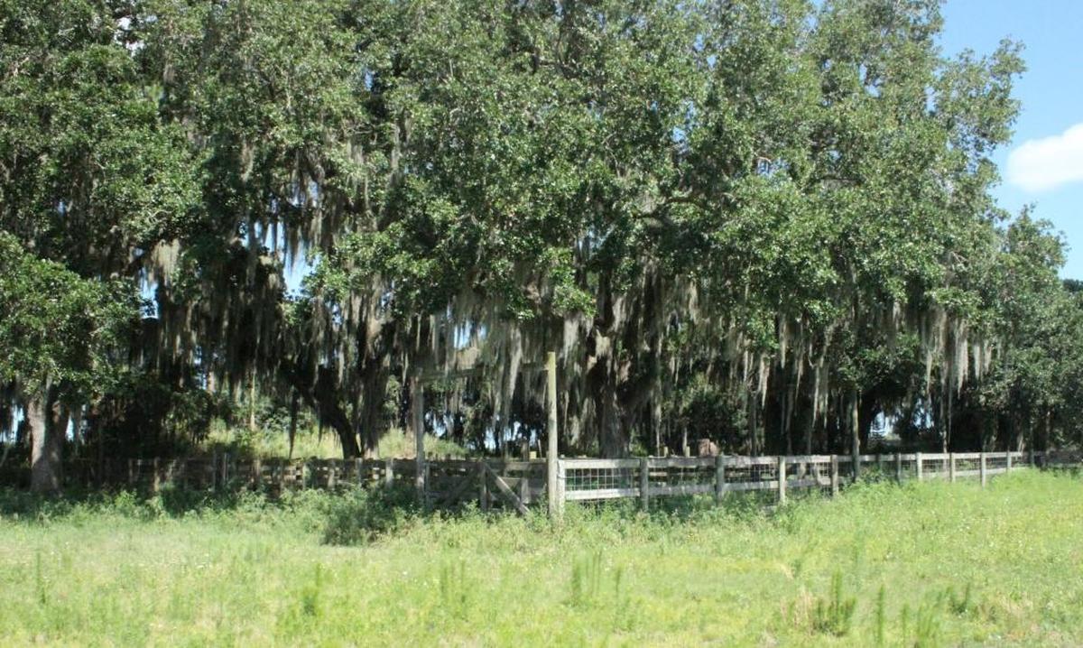 The Parrish Lakes property and the Moccasin Wallow LLC property have traditionally been used for agriculture. Both are now owned by Florida Land Management, based in Brandon.