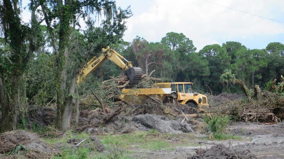 Crews were busy at work Wednesday clearing trees and brush from the land where a Home Depot will be built.
