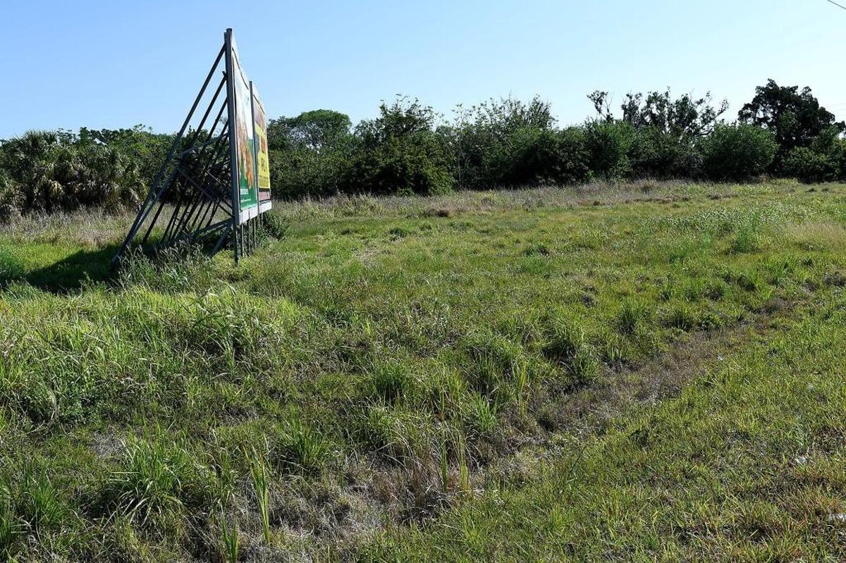 Starbucks, First Watch and Geckos Grill & Pub are among the potential eateries for the project planned for 1550 U.S. 301 N in Palmetto.