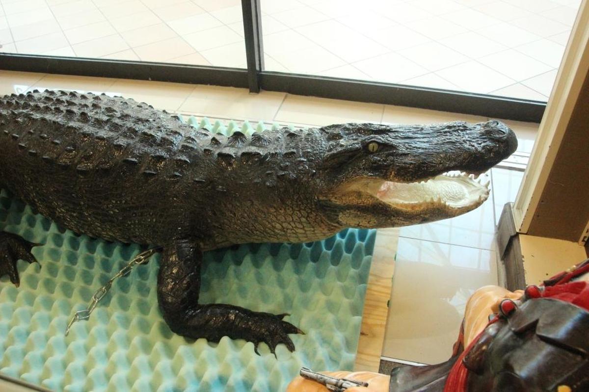 A 12-foot alligator is an attention getter at the entrance of Your Treasure House in DeSoto Square mall.
