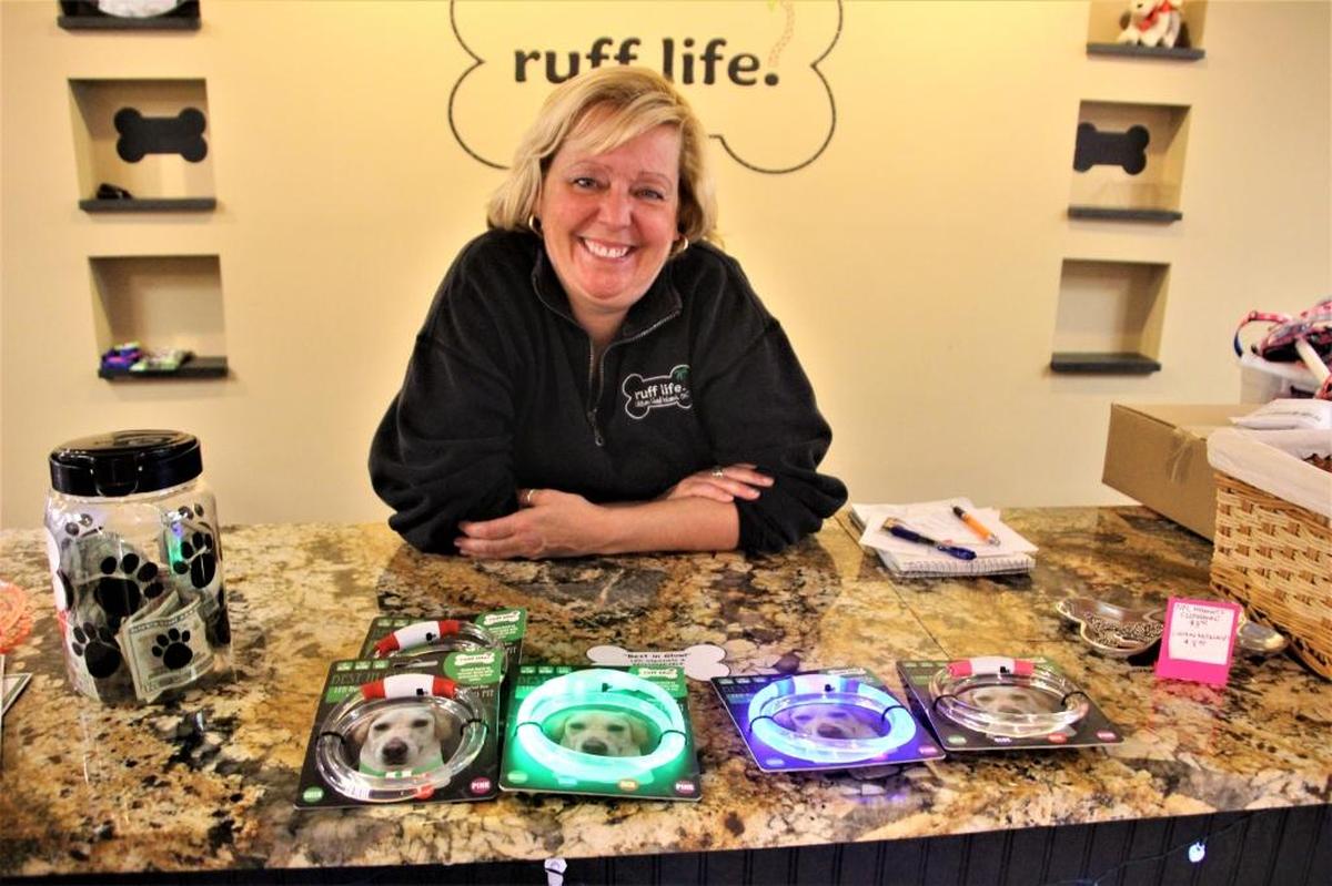 LED collars help dogs be safer at night. Julie Nickerson, shown above, introduced them at her ruff life business last year.