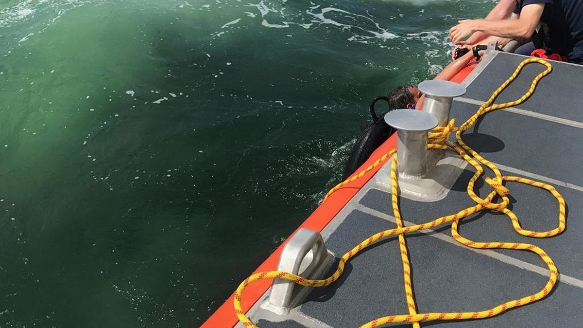 A boat crew from Coast Guard Station Cortez pulls a diver from the water 10 miles west of Blackburn Bay on Friday. Rescuers found the man clinging to a buoy after he was reported missing by a friend.