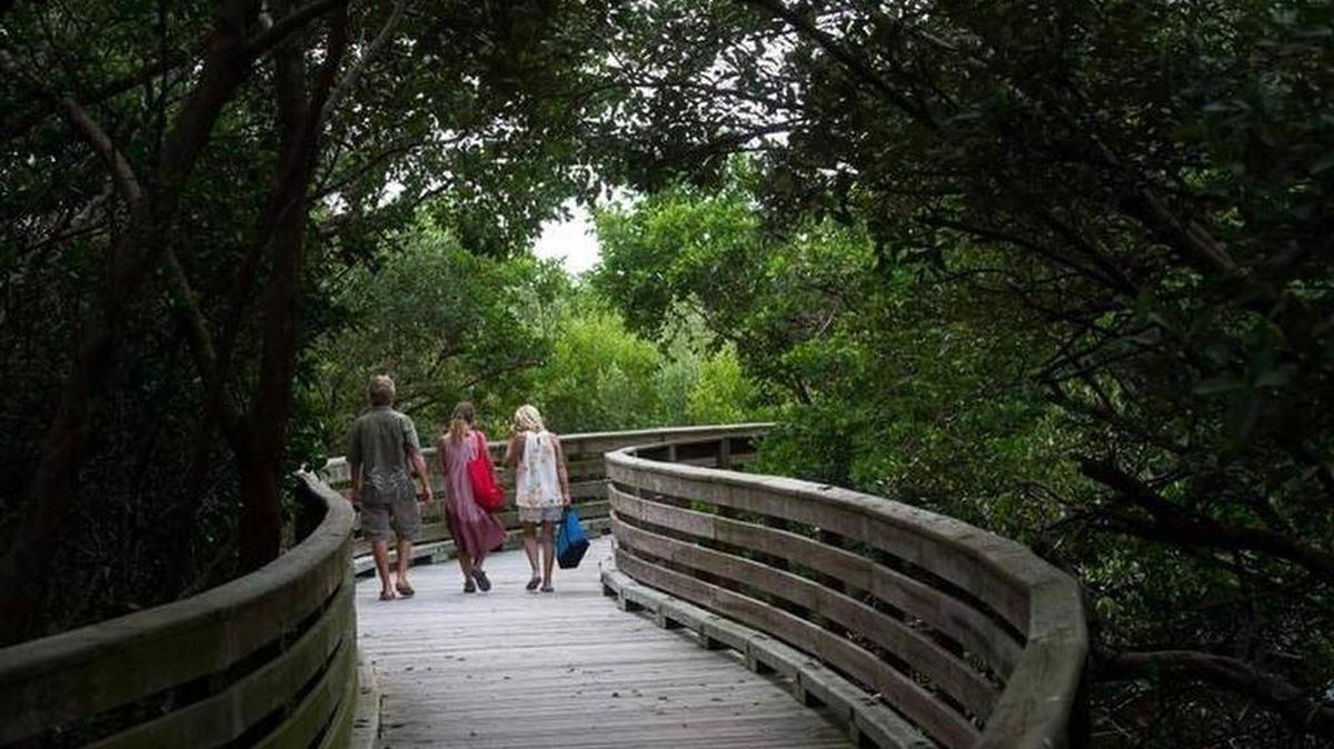 Boardwalk improvements at Robinson Preserve are one of the projects that will be funded with the county half-cent sales tax revenue.