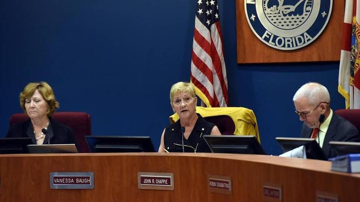 Commissioner Vanessa Baugh addresses the crowd after the Citizens Financial Structure Advisory Board presented a report to the Manatee County Commission in April about a half-cent sales tax increase in the county.