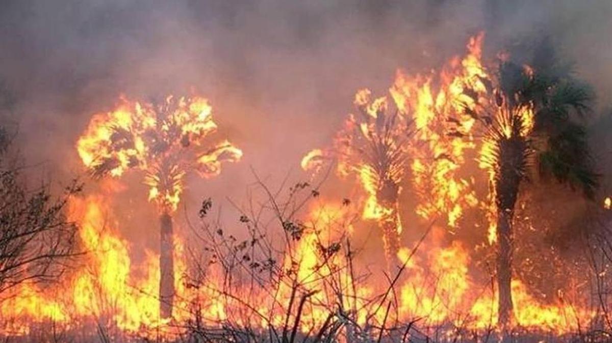 Manatee County has extended its burn ban for another seven days, and is now in effect until May 16.