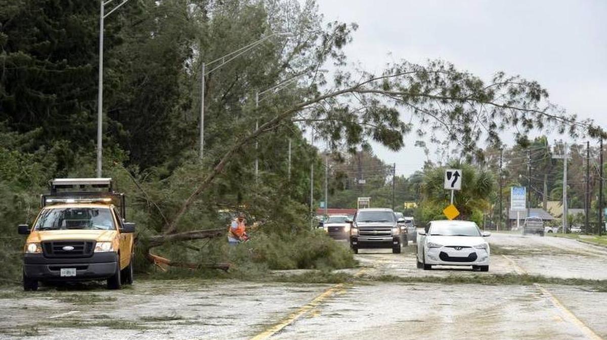 Crews cut up trees blocking Cortez Road on Sept. 11, 2017 after Hurricane Irma slammed into the area.