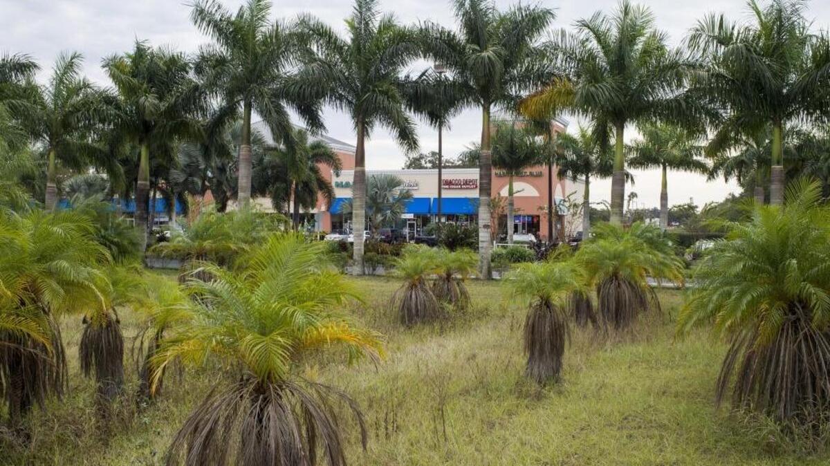 The lot for the future Ellenton Theatre project is seen on Thursday afternoon, December 8, 2016 in Ellenton. The lot is comprised of a plot of land taking up 56,800-square-feet on 7.3 acres and sits on the northwestern side of the shopping center.