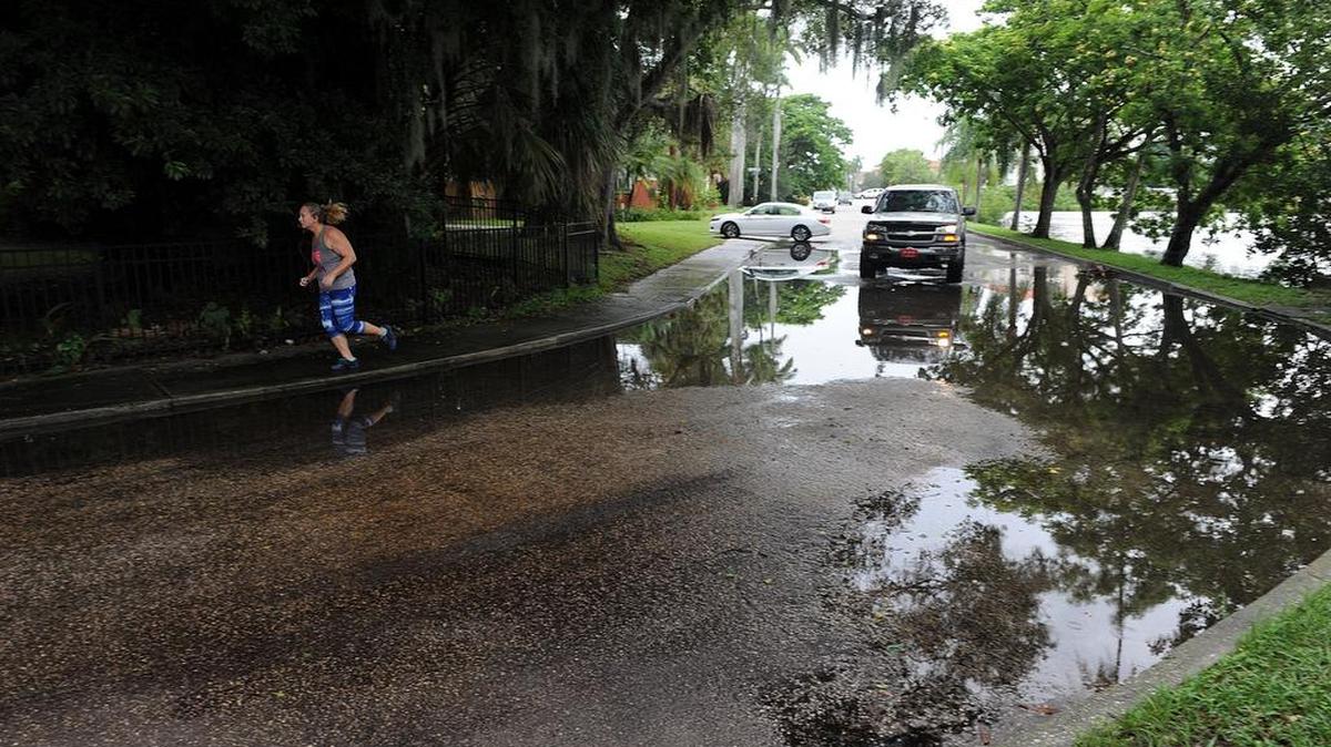 A jogger runs along Ware's Creek which was spilling over the banks in areas. Hermine, which was expected to make landfall Thursday night or early Friday, strengthened to a hurricane Thursday afternoon.
