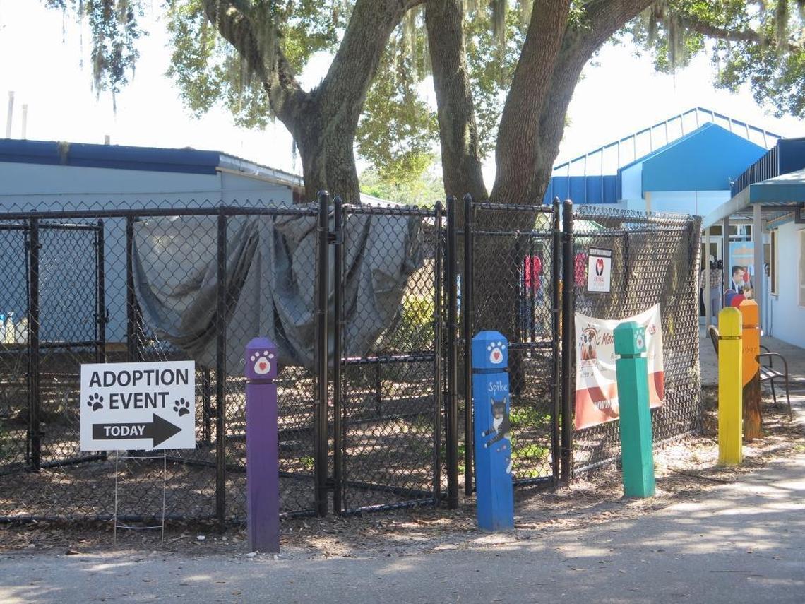 The Manatee County Animal Services shelter in Palmetto.