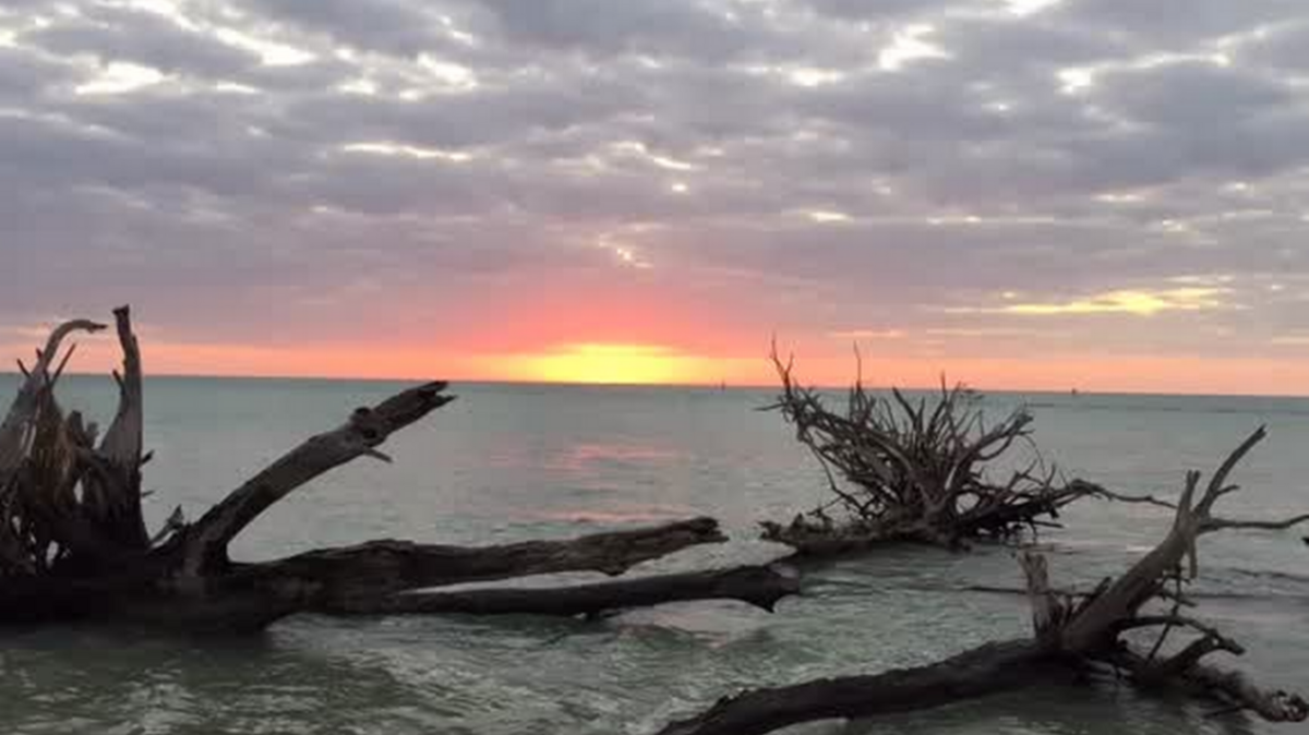 Beer Can Island is located in the Manatee County portion of Longboat Key.