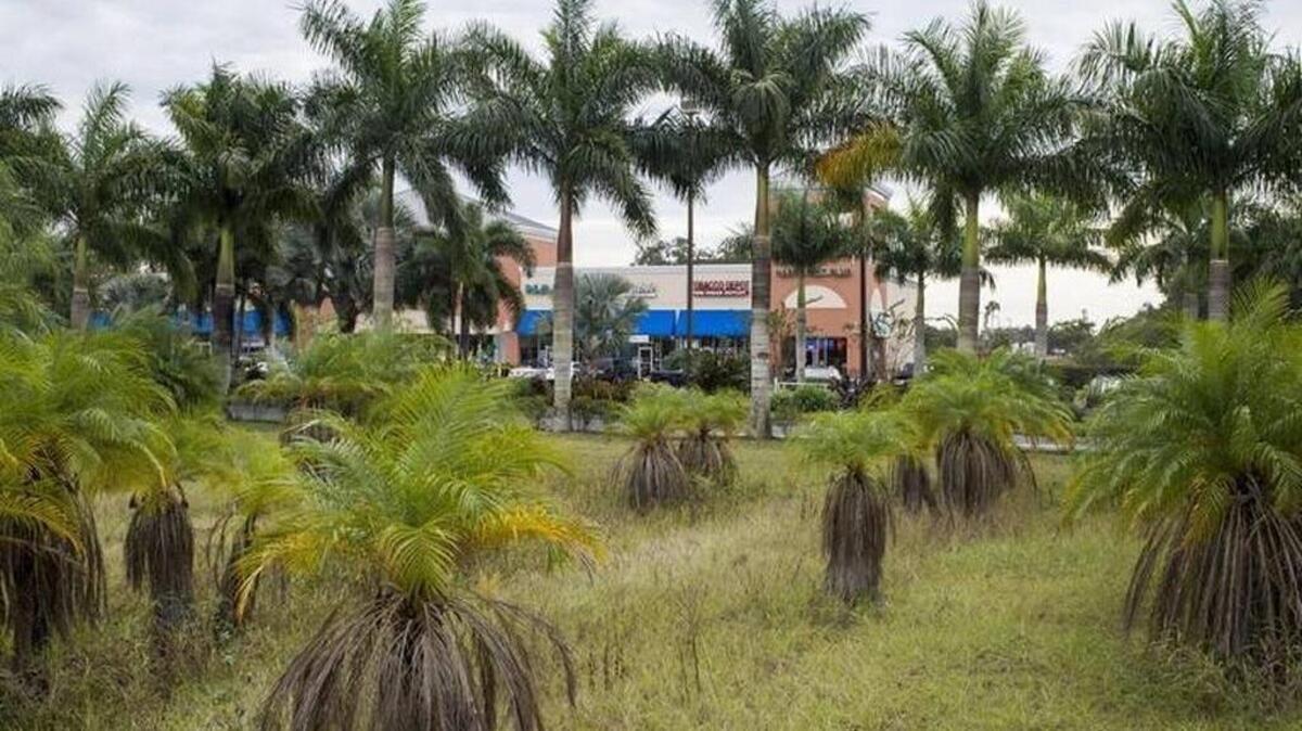The lot for the future Ellenton Theatre project is seen in this file photo. The lot is comprised of a plot of land taking up 56,800 square feet on 7.3 acres and sits on the northwestern side of the shopping center.