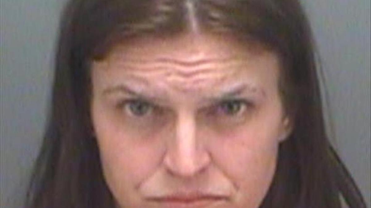 Sarah C. Stark, 28, is charged with grand theft.