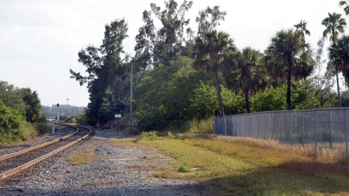 Palmetto is going forward with plans to clean up riverfront property on Fifth Street West for a future city park.