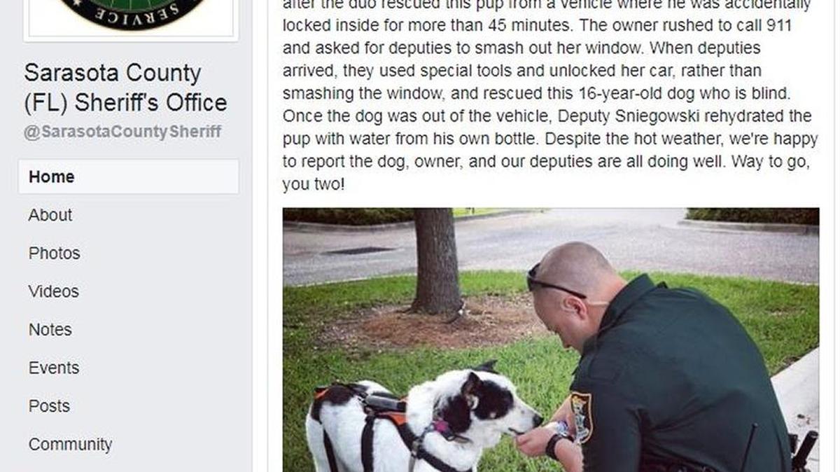 Two Sarasota County Sheriff’s Office deputies were commended on social media for saving a blind 16-year-old dog after he was accidentally locked in a vehicle.