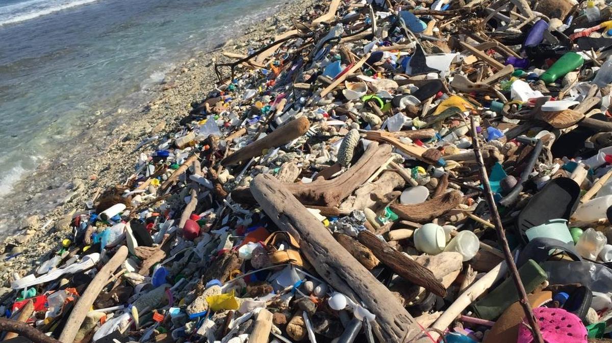 Splash Trash Tour, which is a way to educate the public about trash in oceans, will stop in Manatee County from Feb.15-25 at Robinson Preserve.