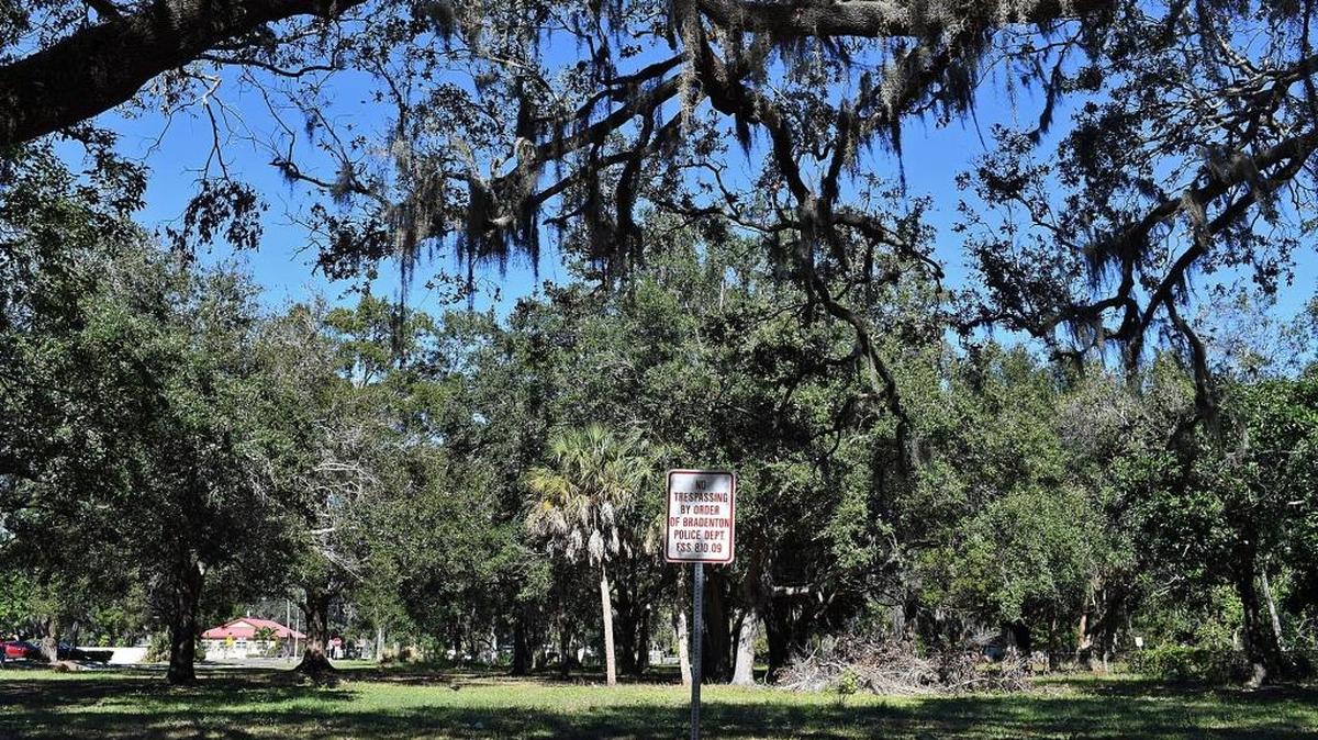 The developer of the 55-plus Grand Palms on 14th Street West is trying for a similar project off Manatee Avenue and 18th Street East.