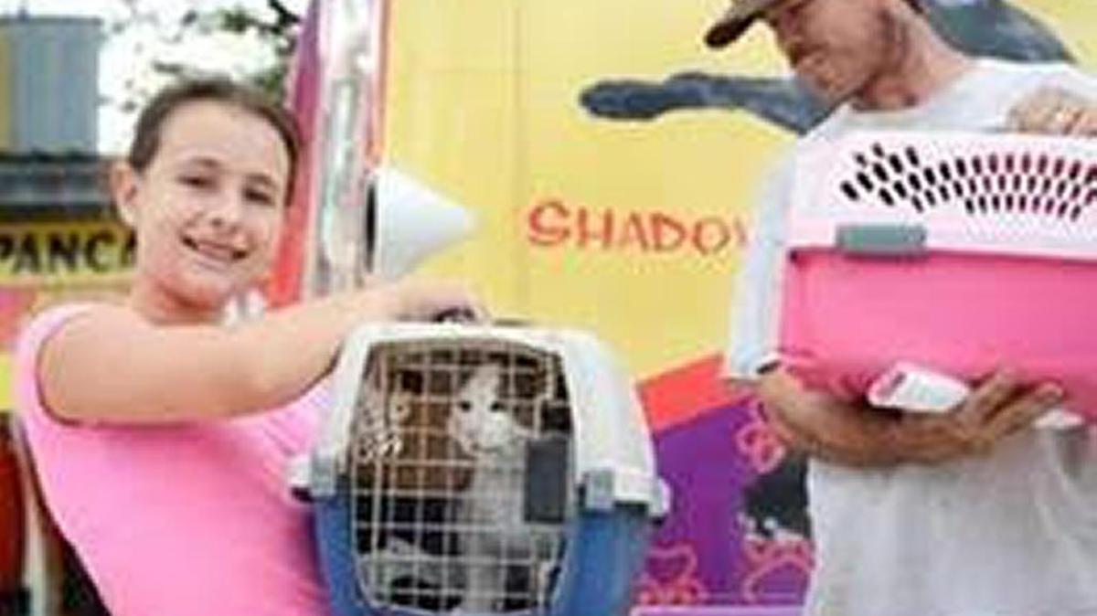 Animal Rescue Coalition has announced it will expand its free round-trip transportation service into Palmetto for low-cost spay and neuter.