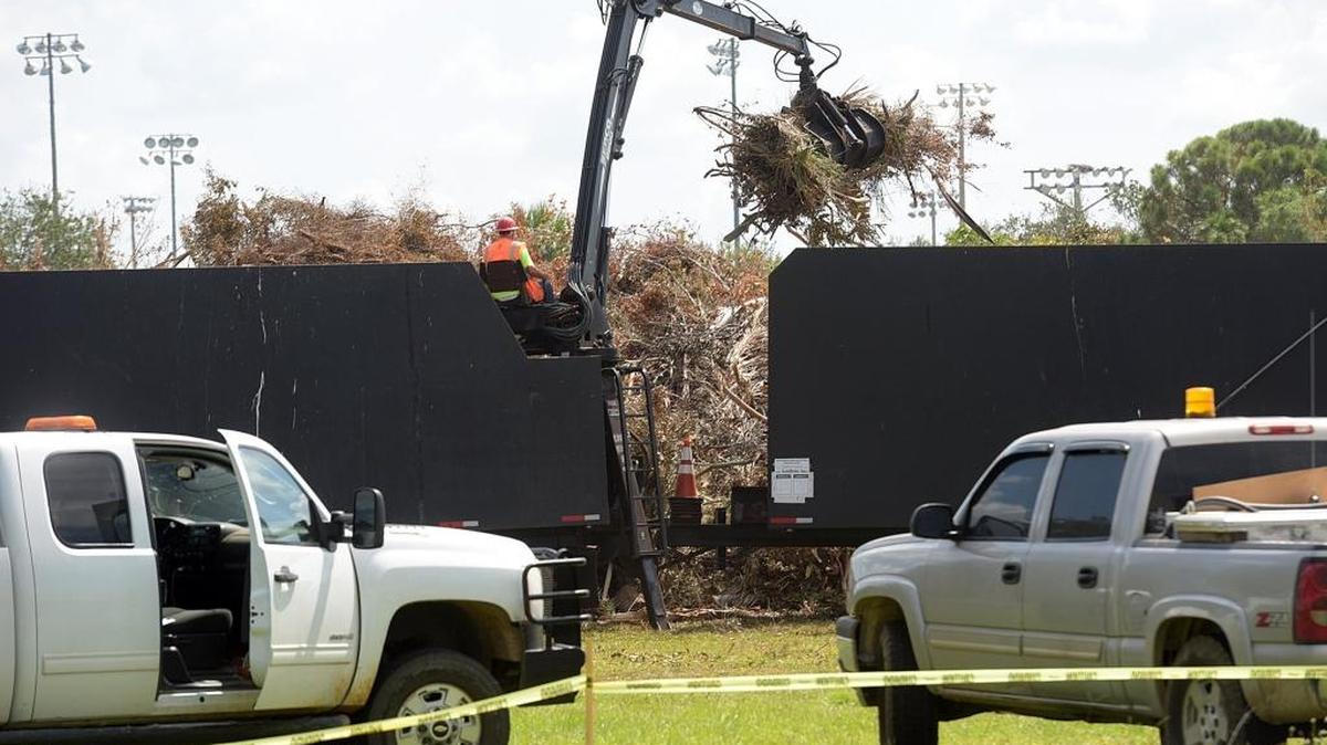 Contracted workers remove the vast amounts of debris Wednesday collected at G.T. Bray Park left over from Hurricane Irma.
