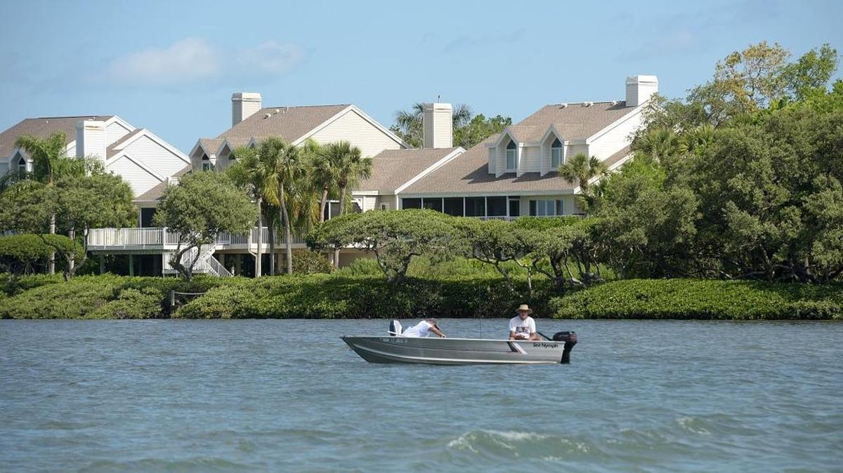 Tidy Island, as seen from Sarasota Bay, will be the focus of a study by New College of Florida to see how certain methods of removing invasive species affects mangroves.