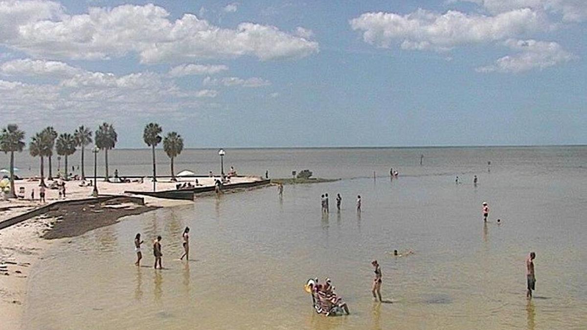 Beachgoers cool off Friday at Pine Island in Weeki Wachee. High temperatures will be in the mid 80s on Saturday.