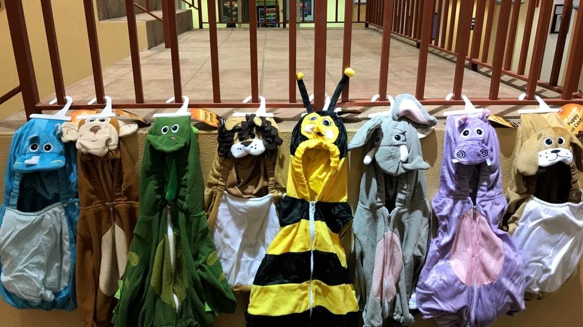 The Bradenton Police Department is giving away more than 500 free Halloween costumes for toddlers (12-month to 4T) courtesy of Support Our Troops, Inc. in Wesley Chapel.