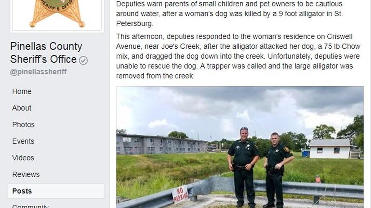 A post to the Pinellas County Sheriff’s Office Facebook page warned parents and pet owners to use caution around water after a gator attacked a dog in St. Petersburg Wednesday.