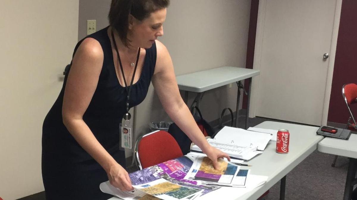 Bradenton Planning and Community Development Director Catherine Hartley lays out her proposal to potentially eliminate form base codes in some areas of the city to create more opportunity for affordable housing to replace slum and blight.