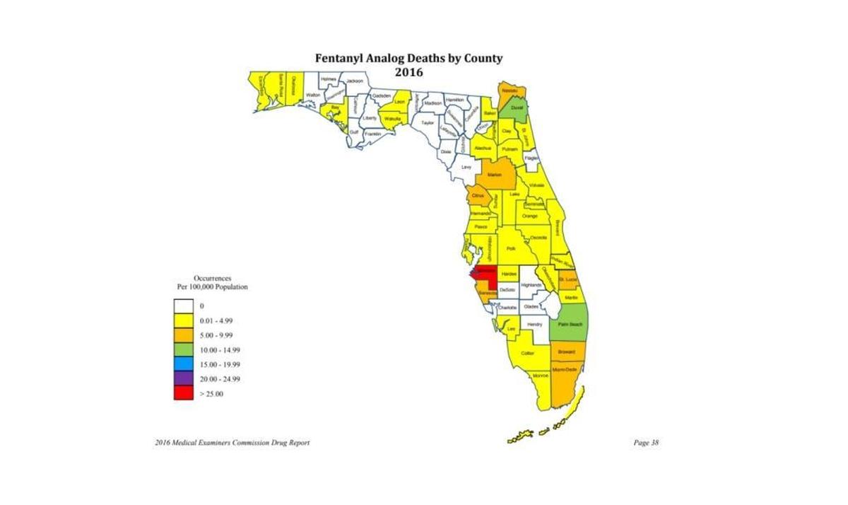 Manatee County had the highest deaths related to fentanyl analogs last year.