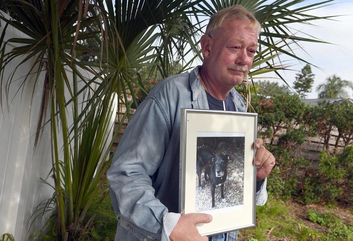 Matt Van Vranken had a dog for 17 years before it was euthanized by Manatee County Animal Services before the five day hold for strays was up. Boni, his beloved black lab mix, loved to run around the back yard, ride in Matt's pickup truck, and bark for his specially prepared breakfast.