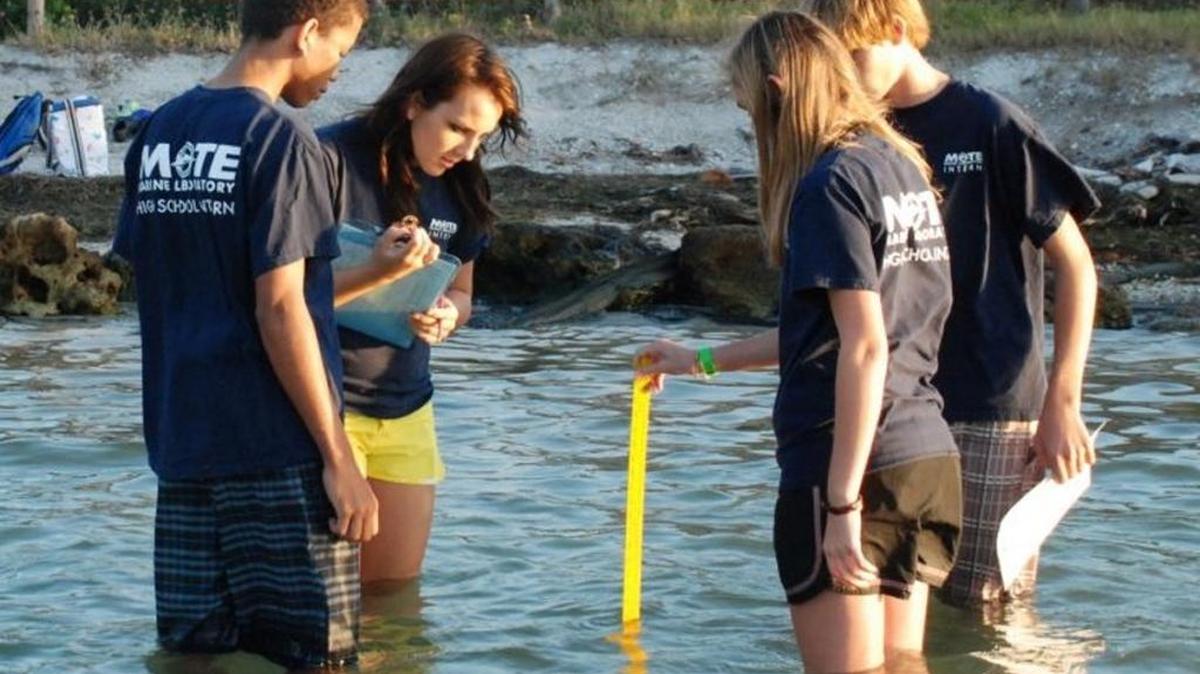 A Bay Partners grant was used by Mote Marine Laboratory’s high school internship program.